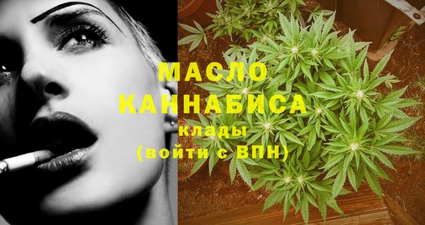 мет Инта