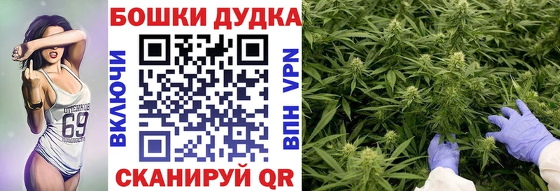 Купить  Бор  Канабис конопля 